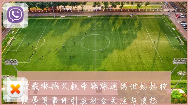 被戴琳拖欠救命钱球迷离世姑姑控诉辱骂事件引发社会关注与愤怒