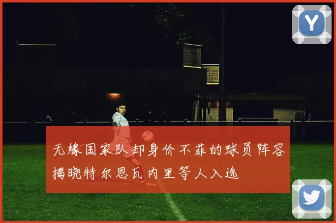 无缘国家队却身价不菲的球员阵容揭晓特尔恩瓦内里等人入选