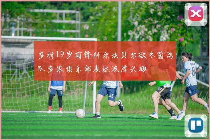 多特19岁前锋科尔坎贝尔欲冬窗离队多家俱乐部表达浓厚兴趣