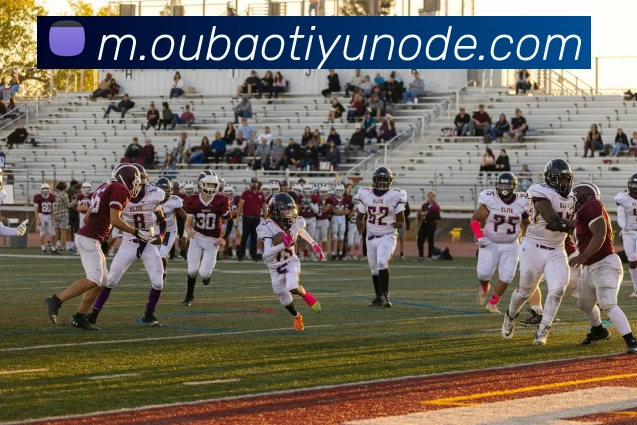 欧宝体育APP 高清赛事图